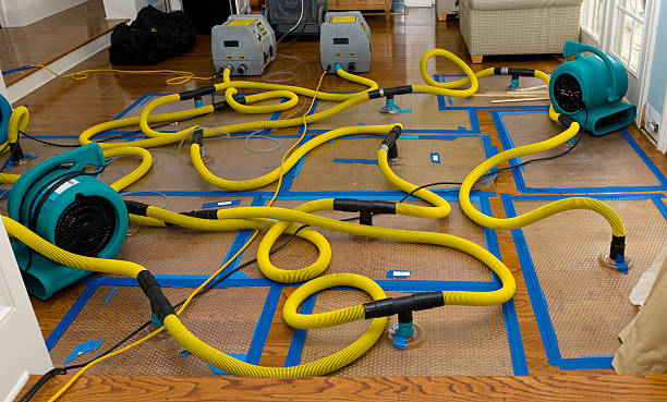 Professional Crawl Space Water Removal technician working in Clinton, IN